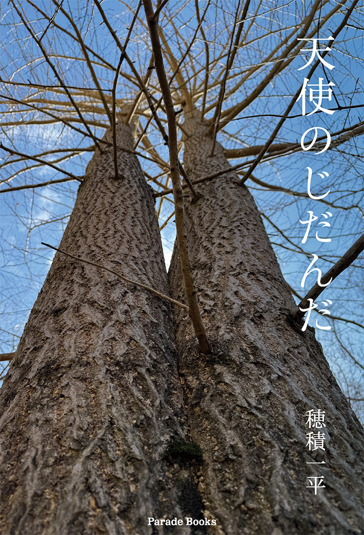 天使のじだんだ